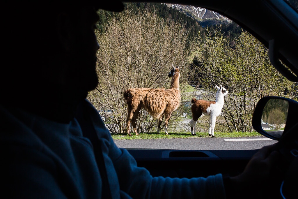 Photographe Voyage Road Trip Nicole Gevrey 74