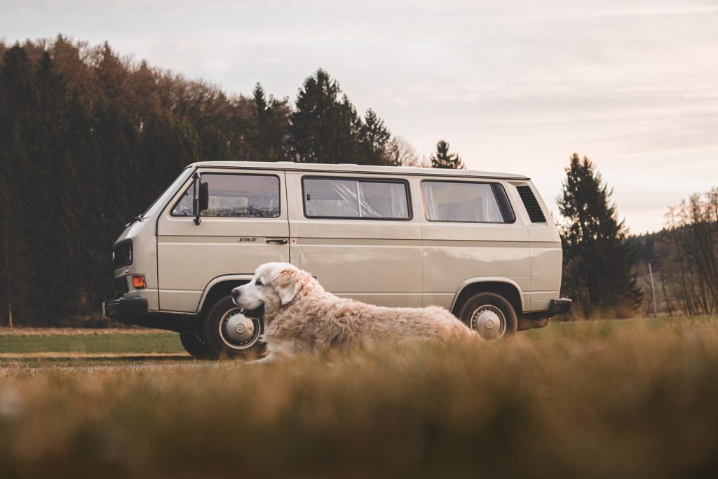 Van 4938417 1920