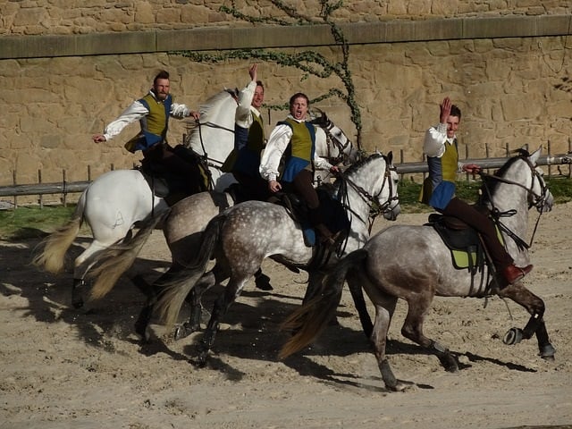 Puy Du Fou En Van Ou Fourgon Aménagé Van Away