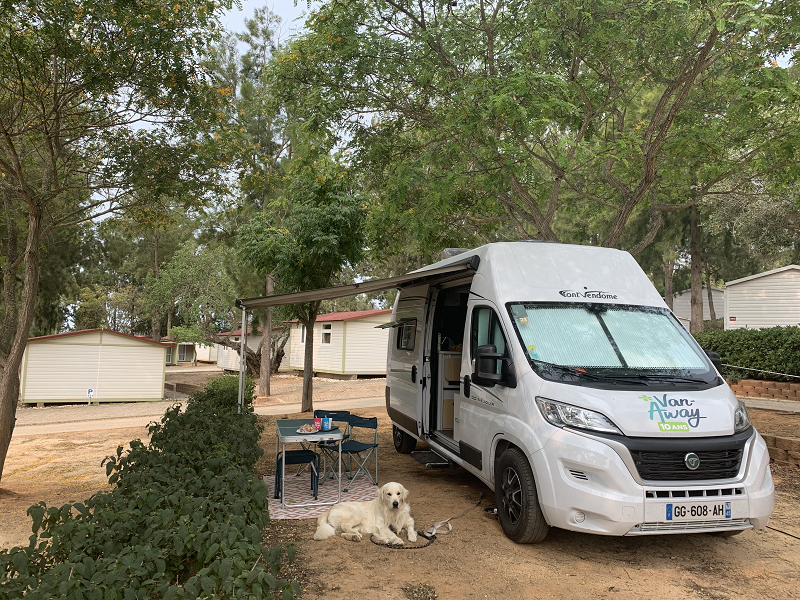 VANLIFE : un van aménagé pour voyager avec son chien