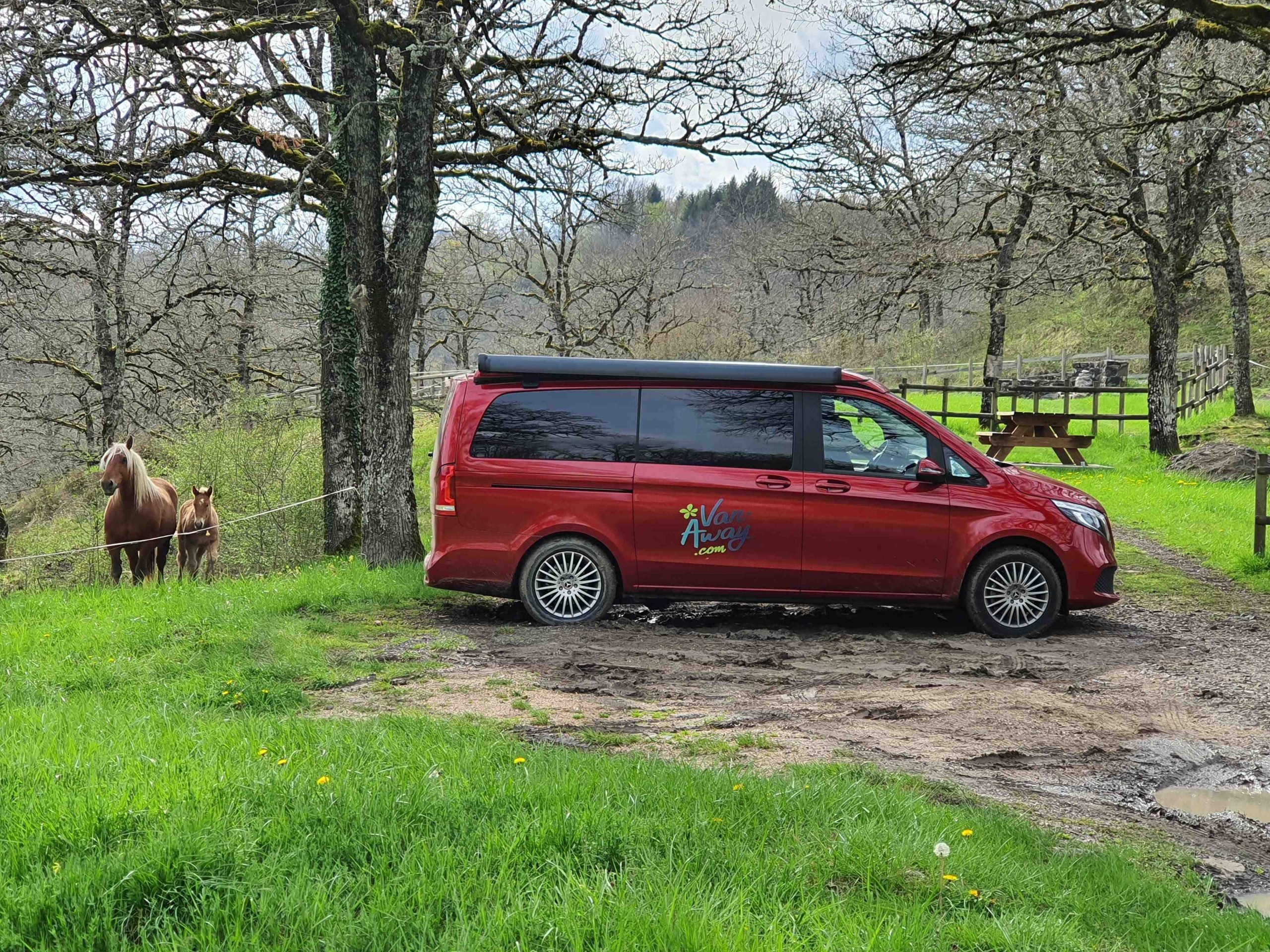 van-marco-polo-chevaux-pays-loire-min