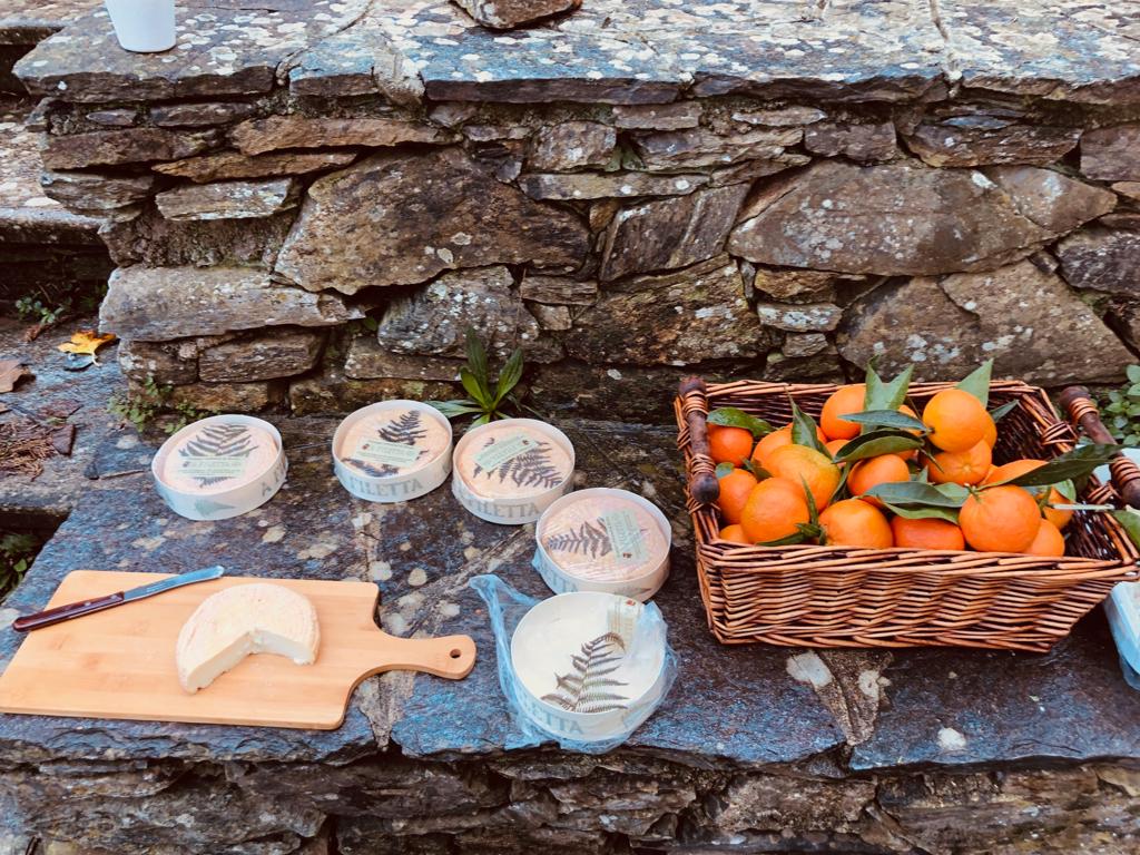 plateau fromages locaux france mandarines