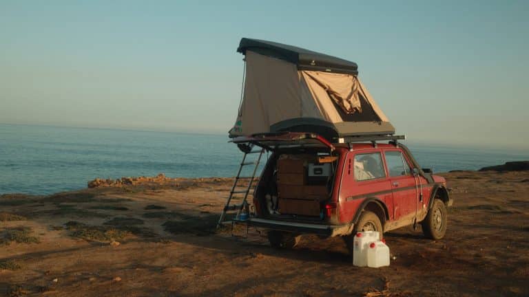 banniere ladaniva triup scaled