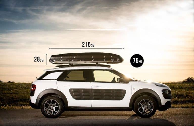 dimension quatro profil