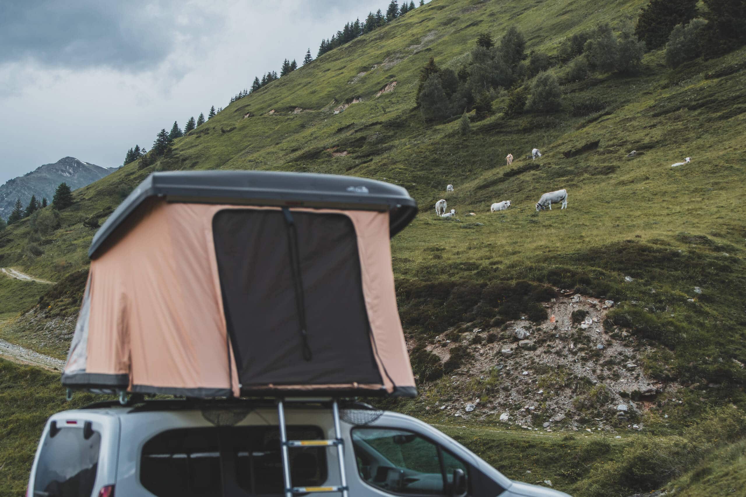 quatro escape installation rapide voiture scaled