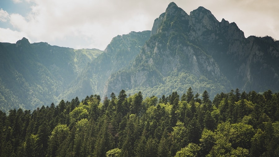 temoignage tente triup