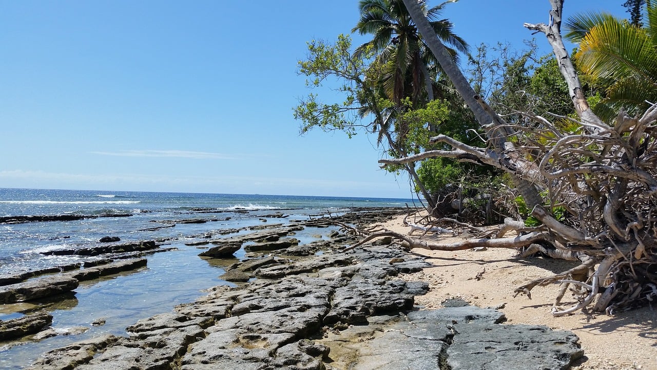 You are currently viewing New Caledonia in a week