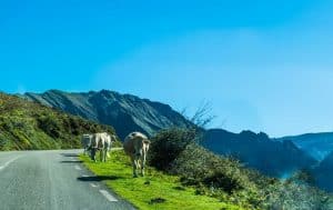 van trip pays basque espagnol