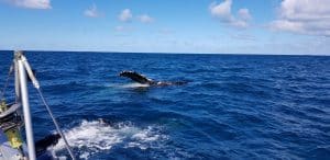 Baie De Prony Caledonie Circuit 3 Jours