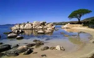 Palombaggia Corse