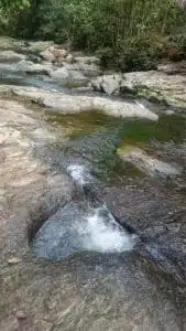 Parc Des Grandes Fougeres En Van Amenage