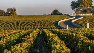 Chateaux Du Médoc En Van Ou Fourgon Aménagé