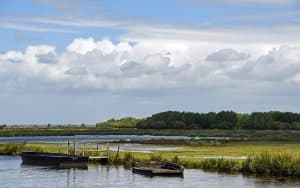 Parc Regional De Briere En Van Amenage Bretagne Sud