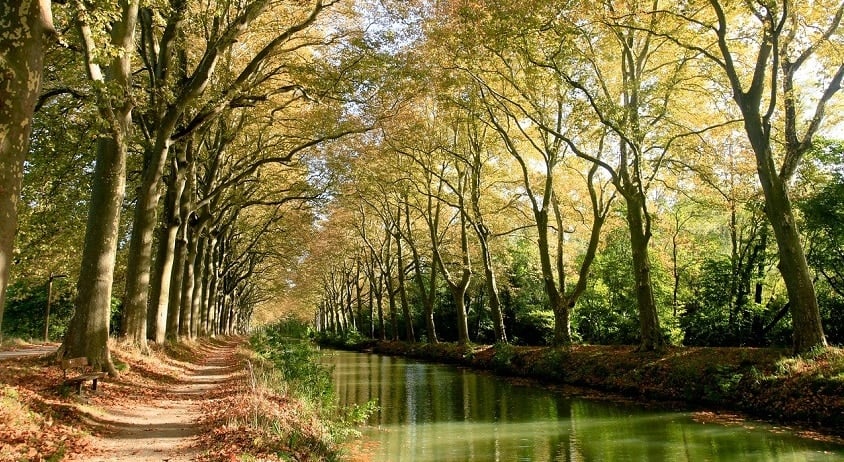 Agence Van Away Toulouse Canal Du Midi