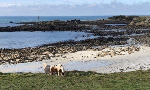 Batz Sur Mer En Van Aménagé Sentier Des Douaniers Roadtip Bretagne