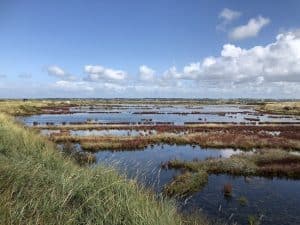 Guerande En Van Aménagé Les Marais Salants