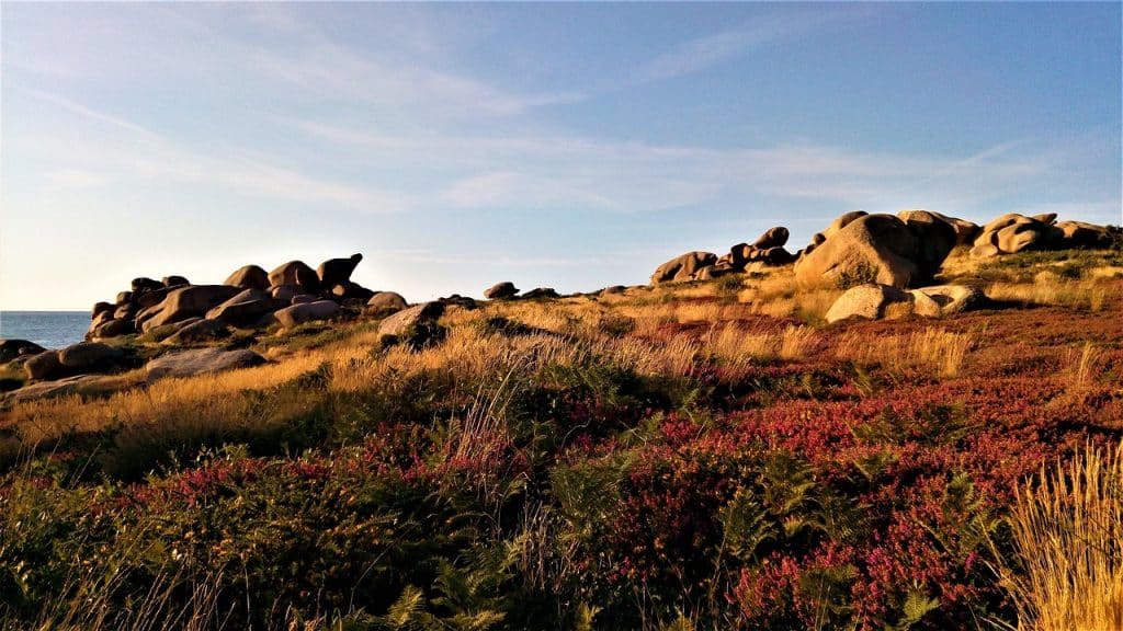 De la côte d’Amour à la Côte de Granit rose