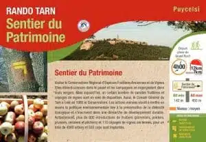 Rando Sentier Du Patrimoine Puycelsi Roadtrip Tarn Van Away