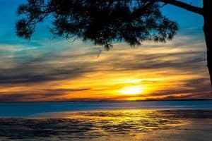 Dormir En Van Amenage Dans Le Bassin D Arcachon