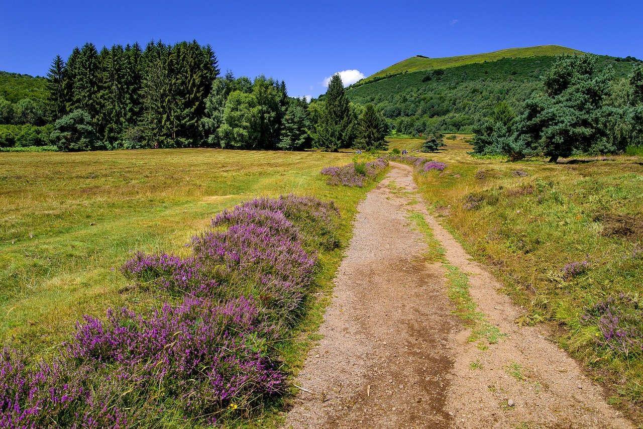 road trip van en auvergne