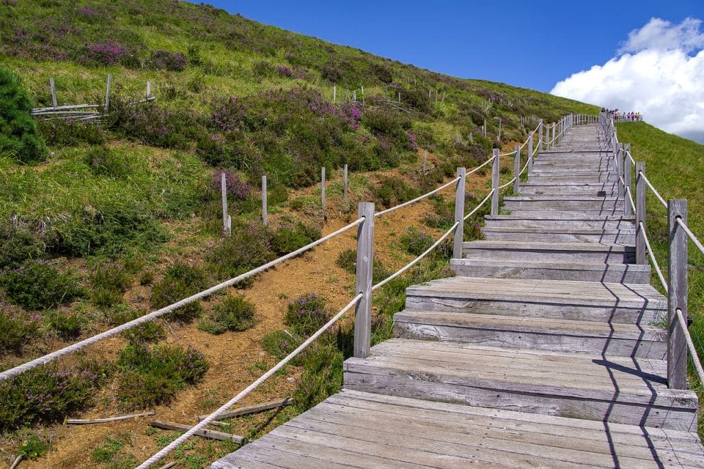 Un weekend trail en Auvergne