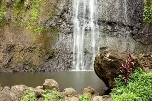 Cascade Afareaitu Sejour En Van Moorea Van Away