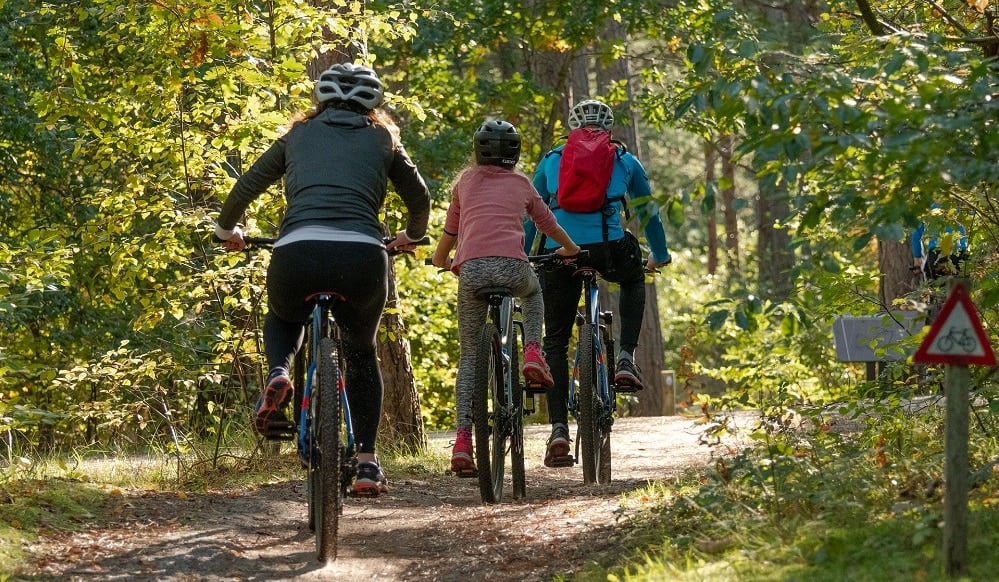 Circuit van aménagé et vélo en Touraine