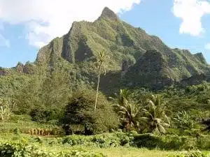 Opunohu Baie Van Amenage Camping Car