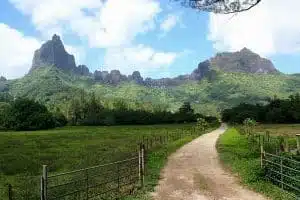Opunohu En Van Amenage Circuit Itinerant Polynesie Moorea