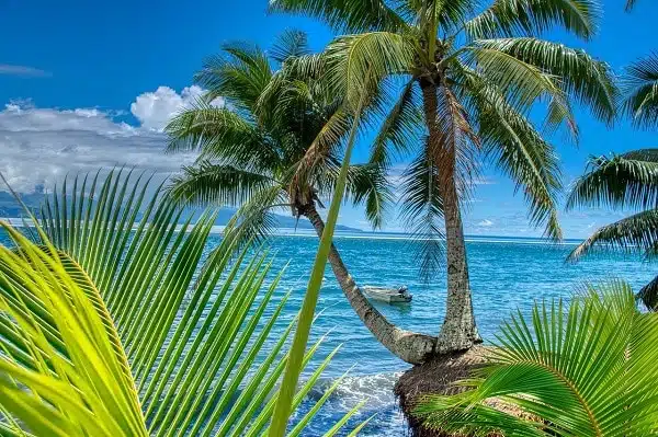 vignette tahiti en 4 jours en van aménagé