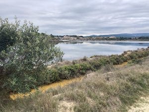 peyriac de mer balade sur les salins circuit decouverte en van amenage du parc naturel de la narbonnaise