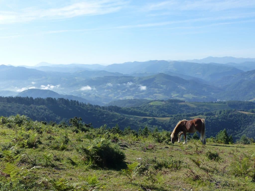 Pays Basque français: roadtrip en van entre terre et mer