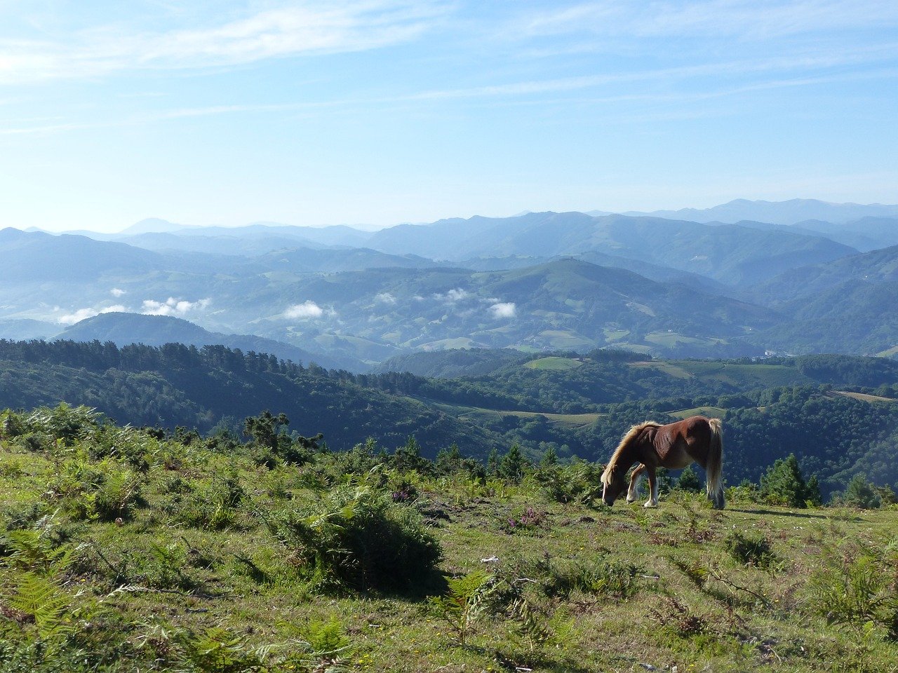 le pays basque roadtrip en van