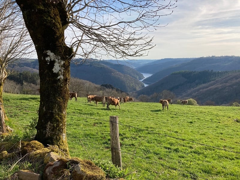 Circuit 4 jours en Aveyron en fourgon aménagé