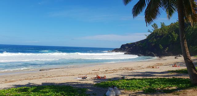 plage grand anse ile de la reunion en van aménagé