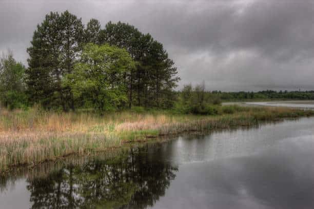 plateau des mille etangs vosges en van 1