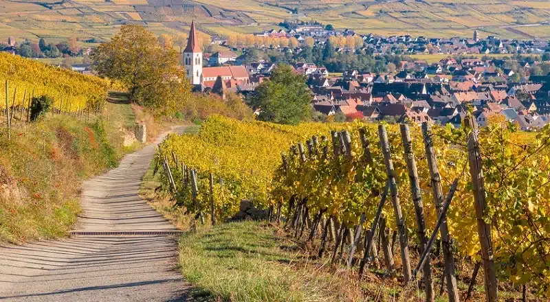 LOUER UN VAN AMENAGE EN ALSACE