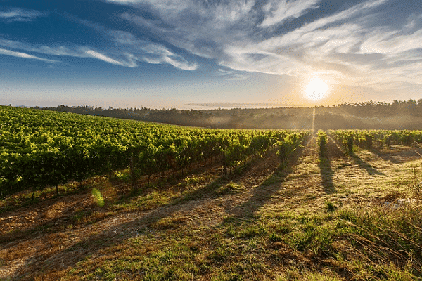 Départ en van pour Saint-Emilion et le Libournais, terre de vins et de traditions