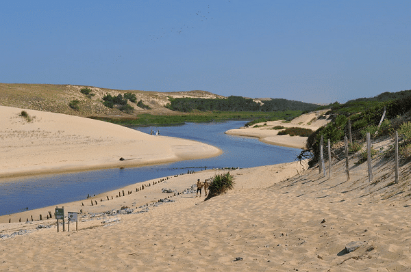 courant d huchet circuit road trip dans les landes