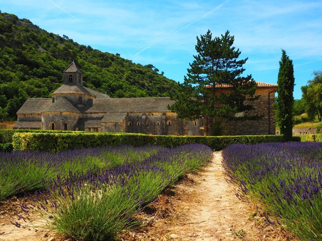 abbaye de senanque lavande champs site historique