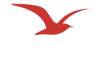 ancv rouge blanc 150