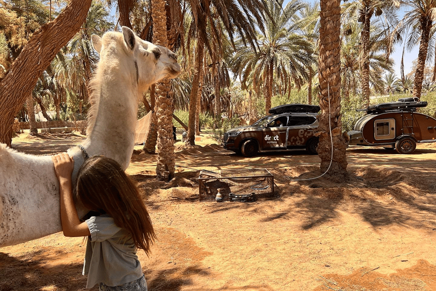 caretta vehicule palmier chameau 9x6