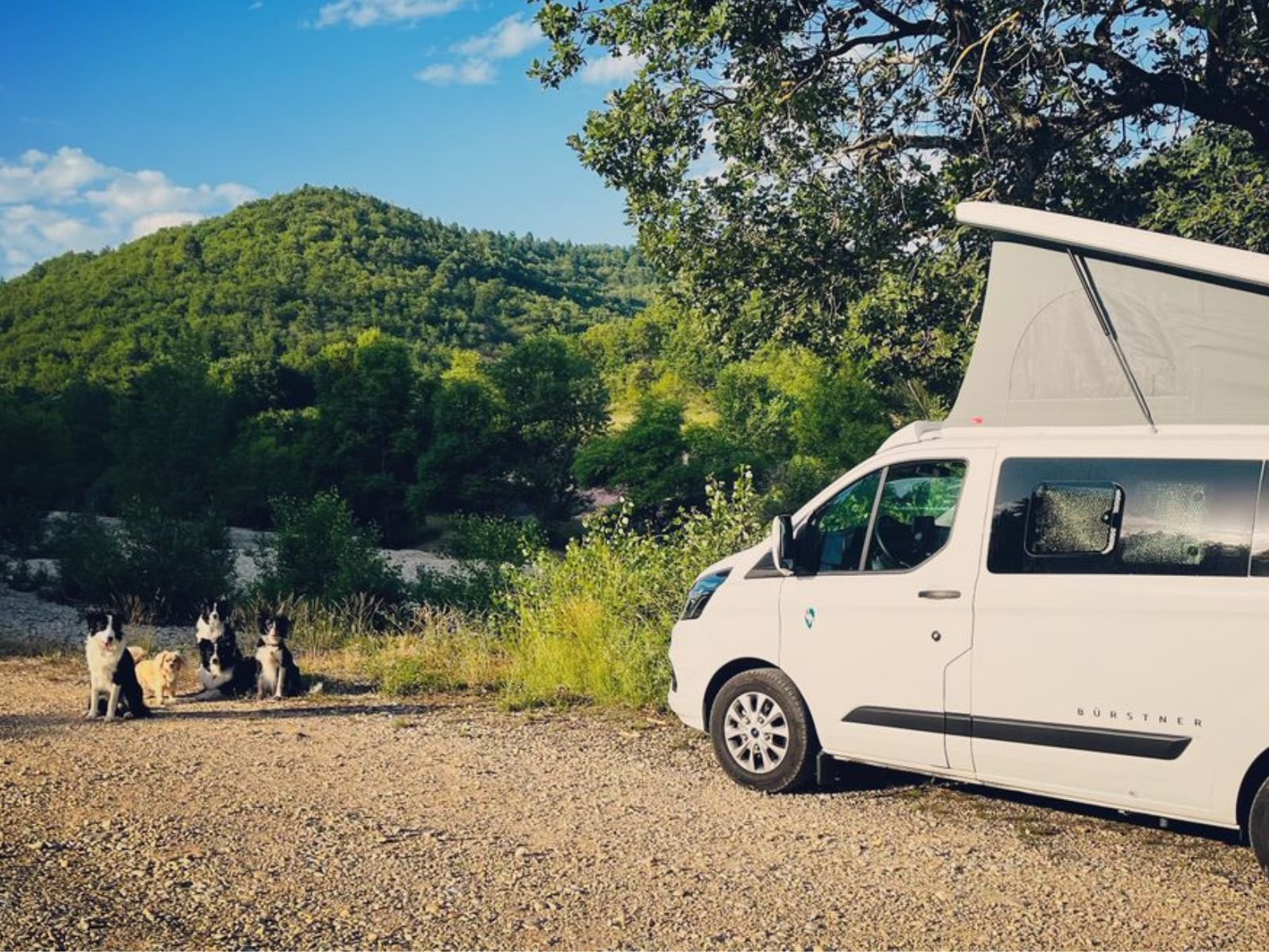comment voyager camping car chien