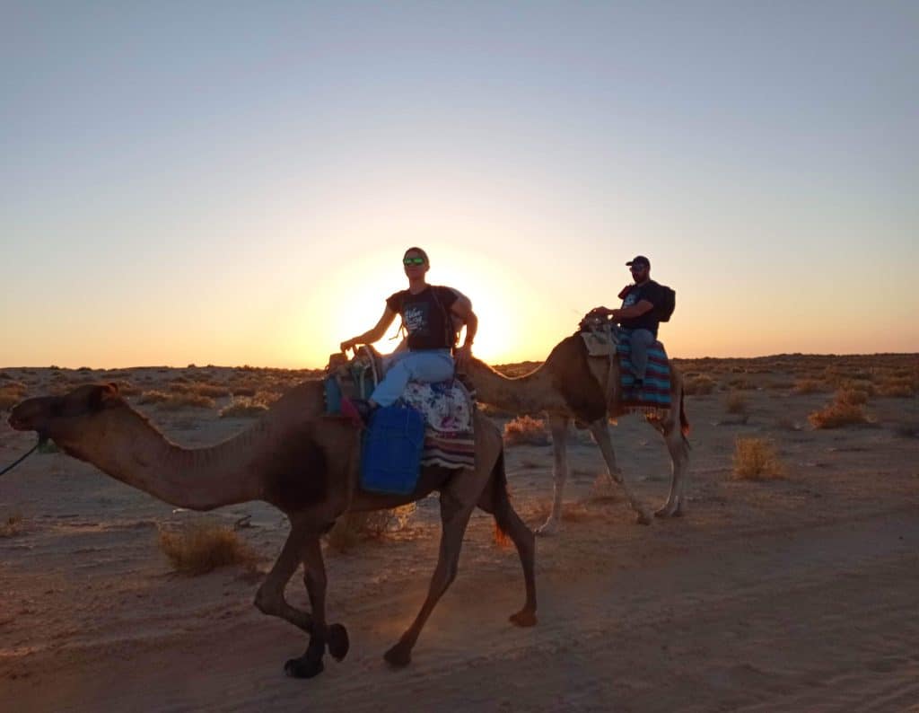 dromadaires sunset desert maroc