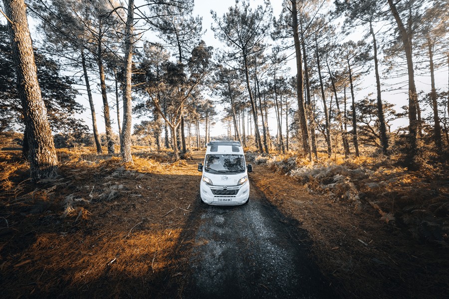 palma 4 ext 2 pour avis 9x6