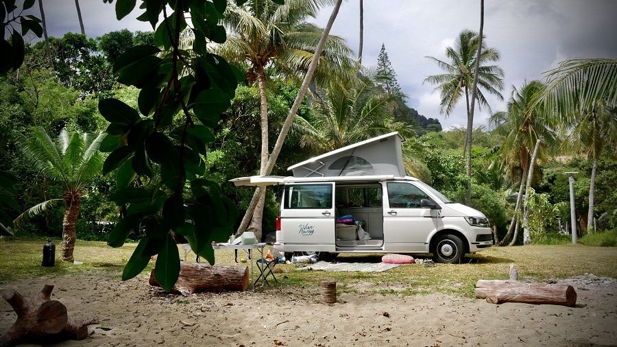 photo avis caledonie 3