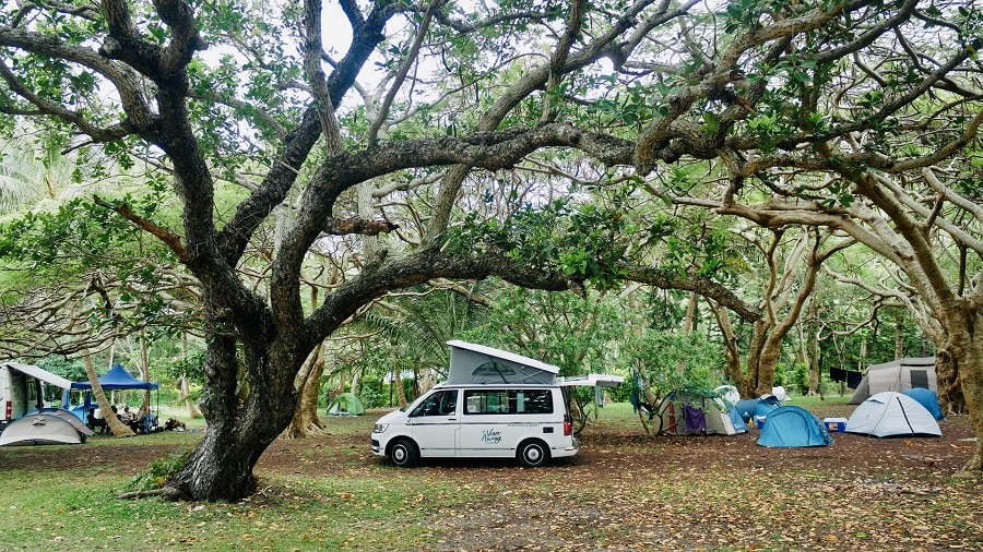 photo avis caledonie 4